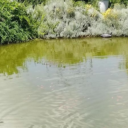 Domaine Le Lanis Chambre D'Hotes Piscine Spa Privatise Sur Reservation Saint-Girons  Exterior foto