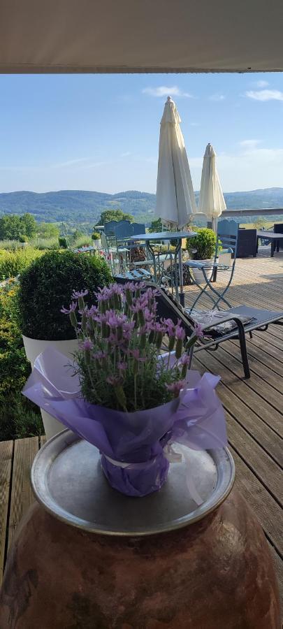 Domaine Le Lanis Chambre D'Hotes Piscine Spa Privatise Sur Reservation Saint-Girons  Exterior foto
