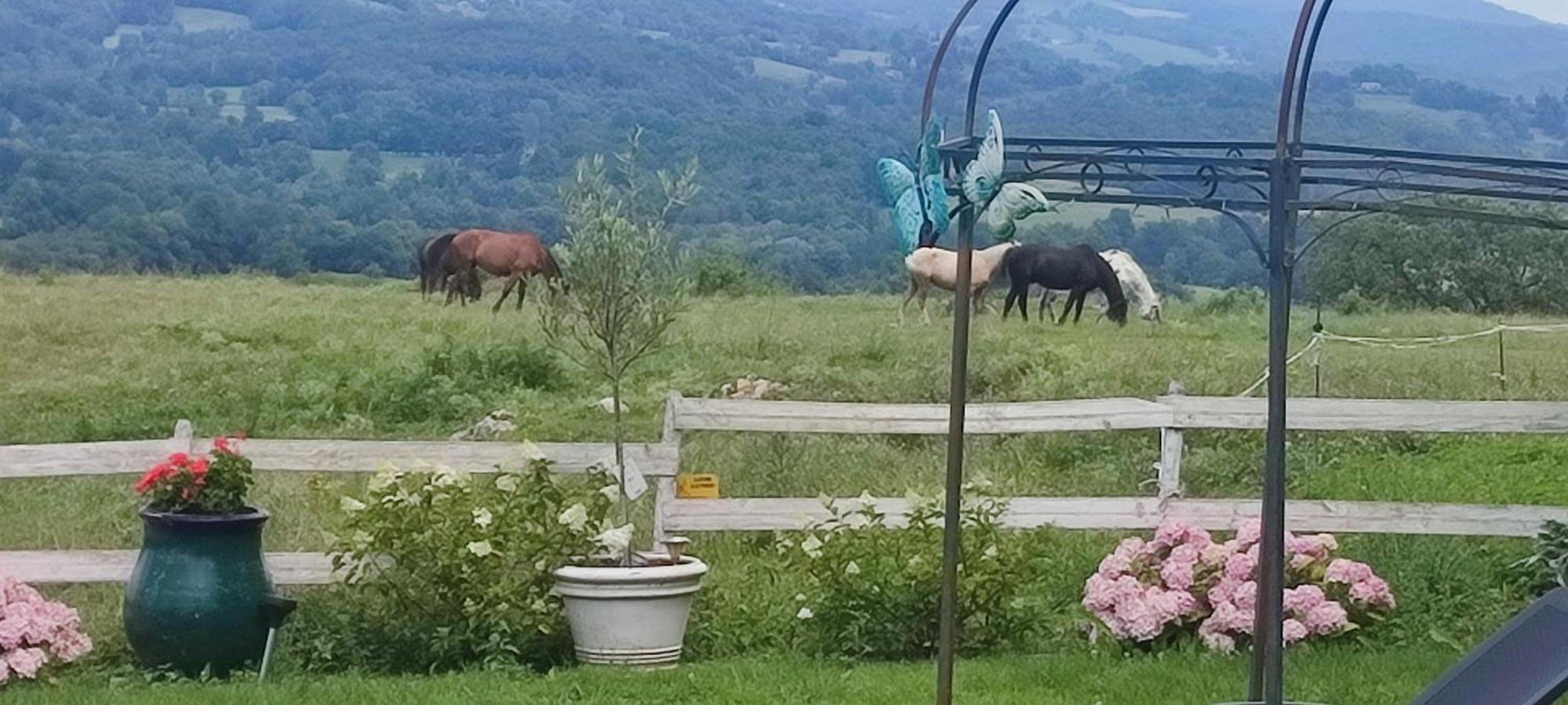 Domaine Le Lanis Chambre D'Hotes Piscine Spa Privatise Sur Reservation Saint-Girons  Exterior foto